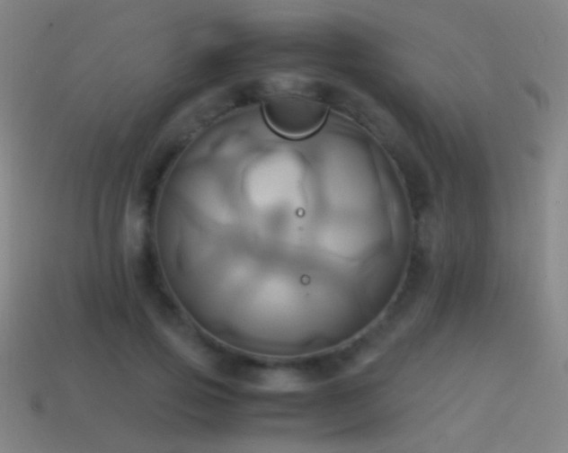 X0000114700741200910211251