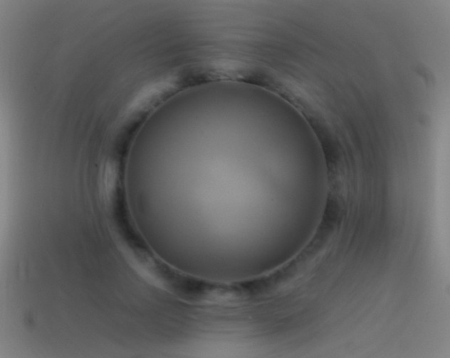 X0000114700742200910211251