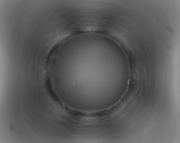 X0000114700743200910211251