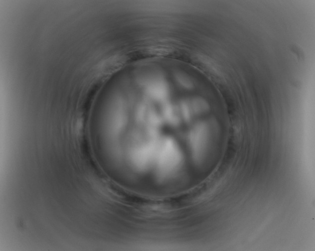 X0000114700745200910211251