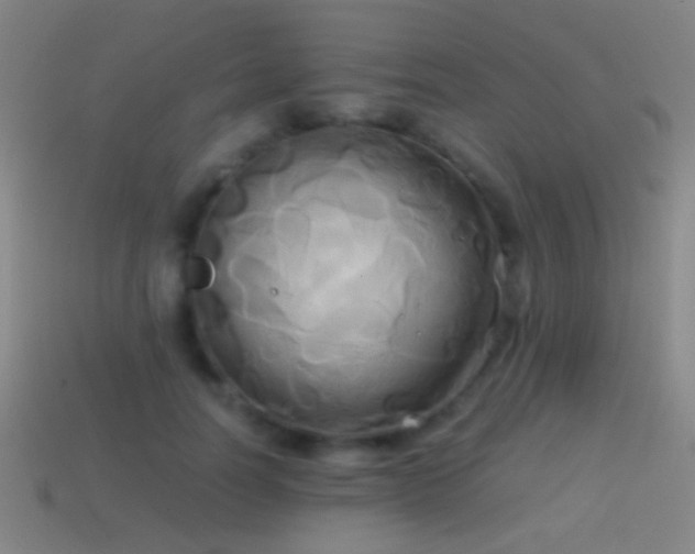 X0000114700746200910211251