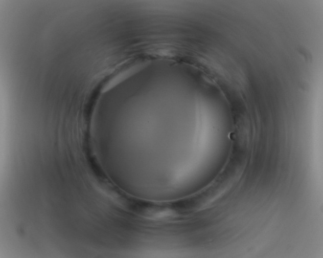 X0000114700747200910211251