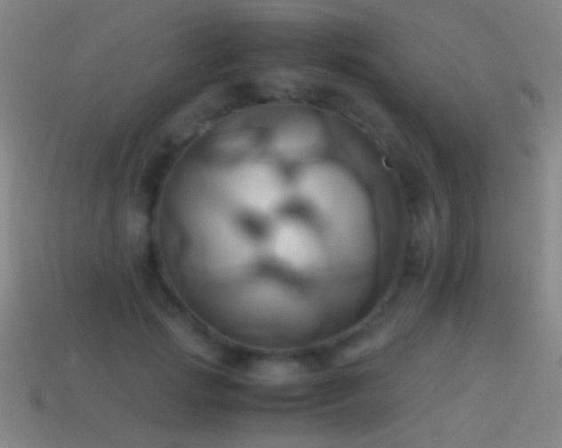 X0000114700749200910211251