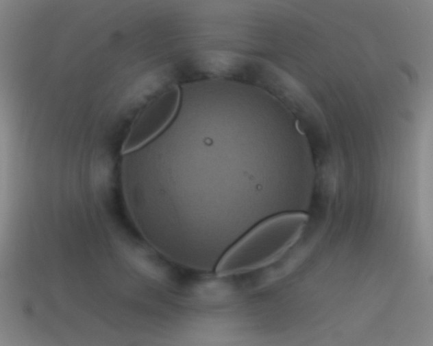 X0000114700750200910211251