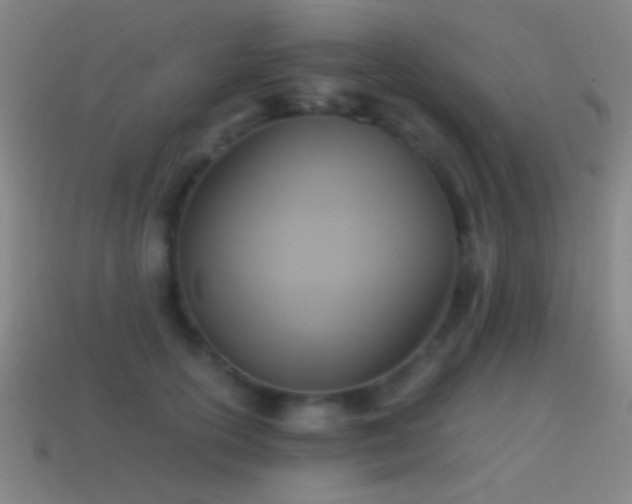 X0000114700754200910211251