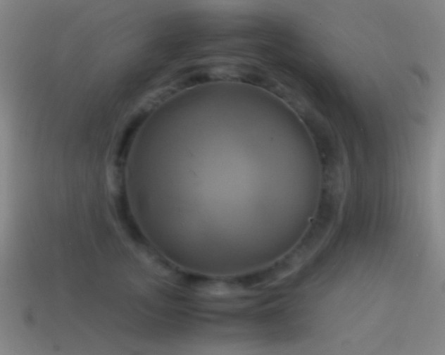 X0000114700755200910211251