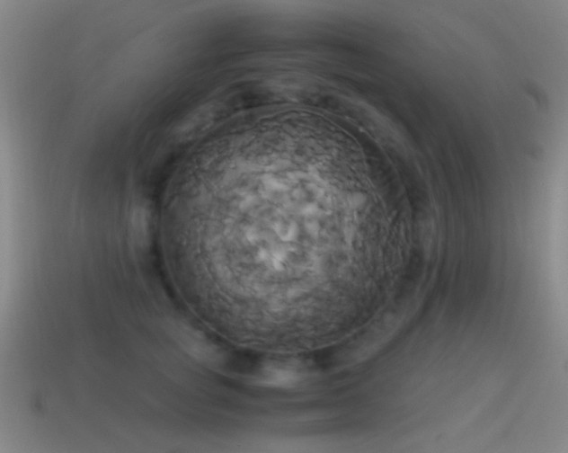 X0000114700757200910211252