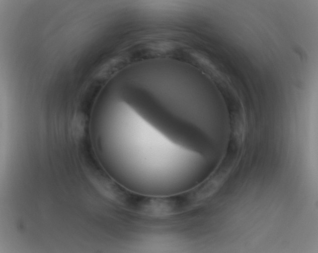 X0000114700758200910211252