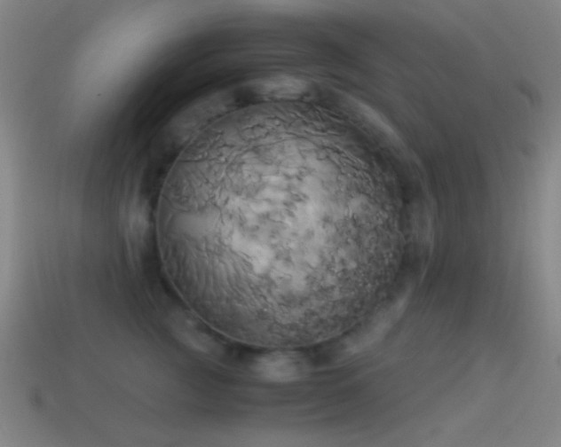 X0000114700761200910211252