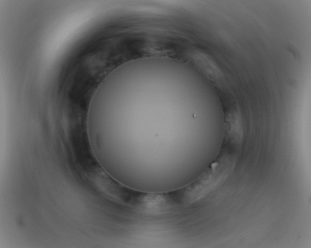 X0000114700762200910211252