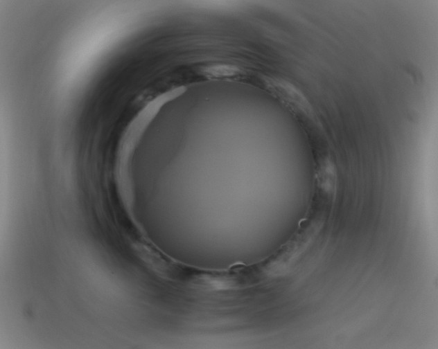 X0000114700763200910211252