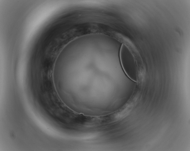 X0000114700765200910211252