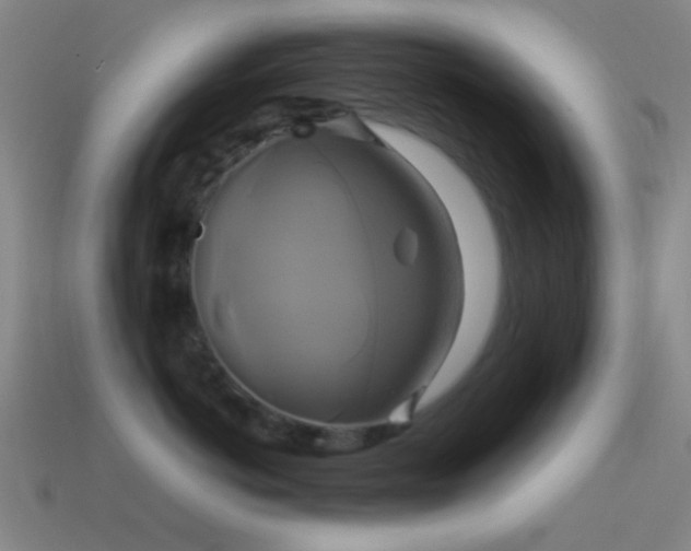 X0000114700766200910211252