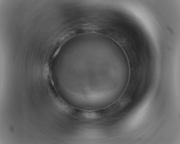 X0000114700767200910211252