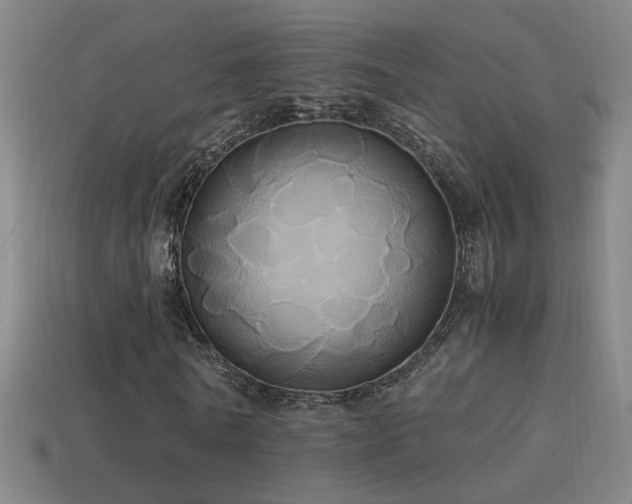 X0000114700770200910211251