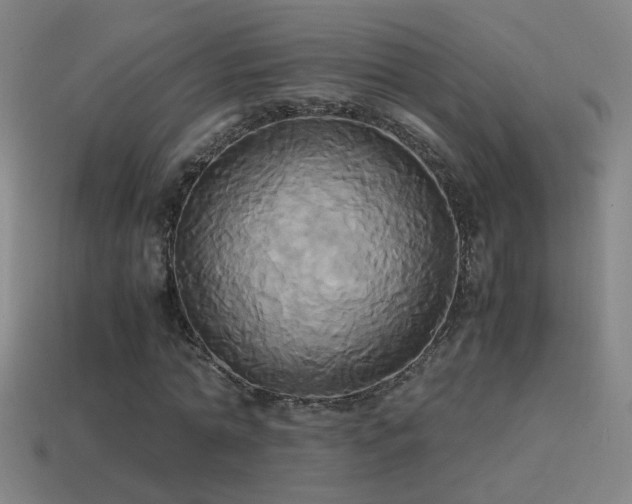 X0000114700774200910211251