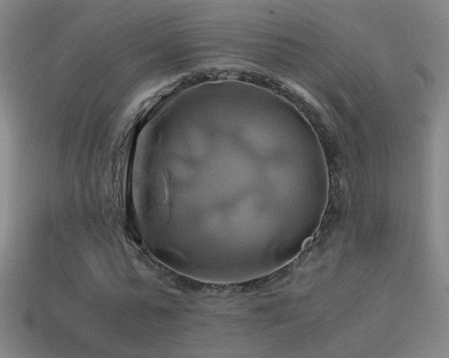 X0000114700775200910211251