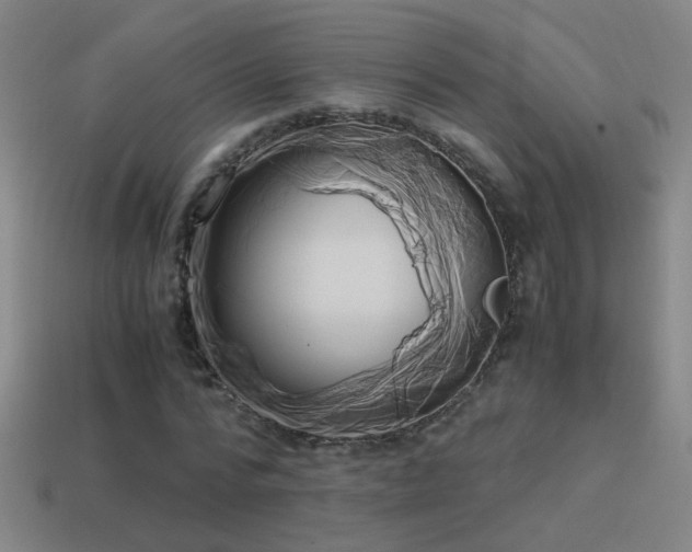 X0000114700776200910211251