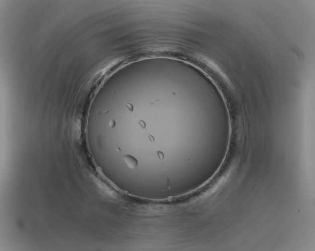 X0000114700777200910211251