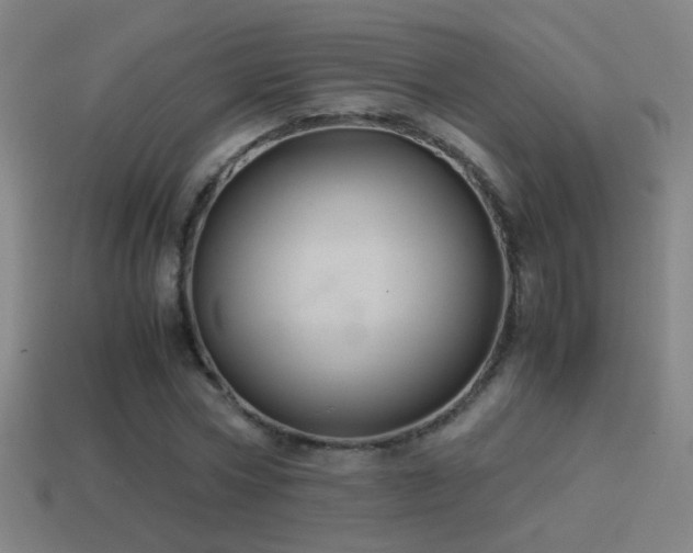 X0000114700778200910211251