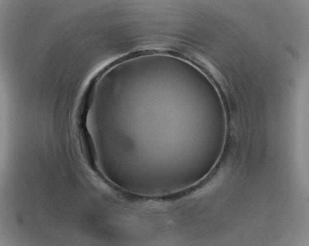 X0000114700779200910211251