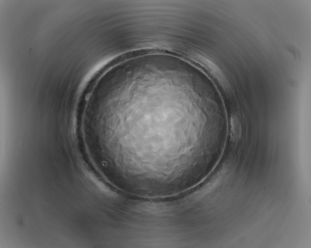 X0000114700780200910211251