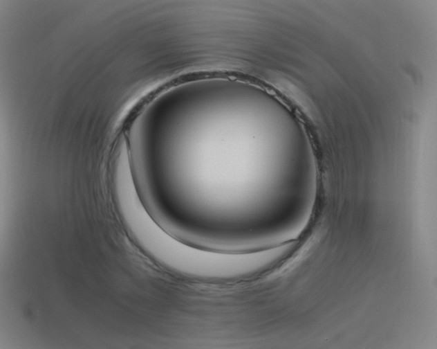 X0000114700781200910211251