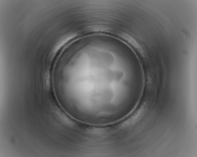 X0000114700782200910211251