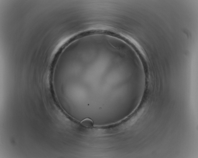 X0000114700783200910211251