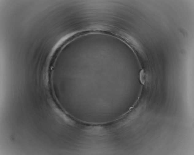 X0000114700784200910211251