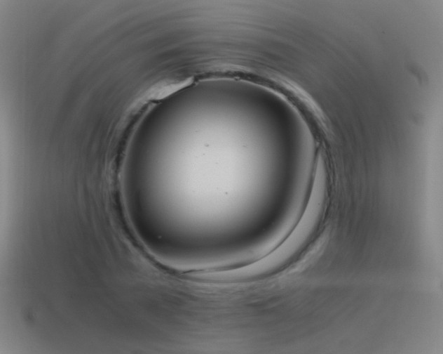 X0000114700785200910211251