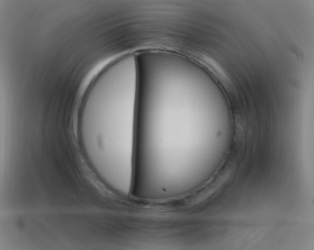 X0000114700788200910211251