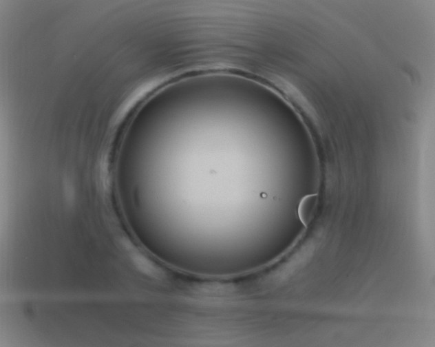 X0000114700789200910211251