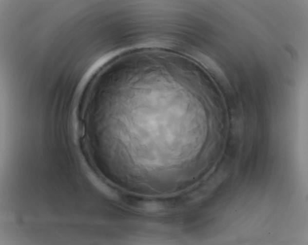 X0000114700792200910211251