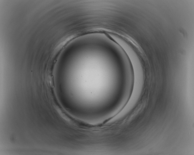 X0000114700793200910211251