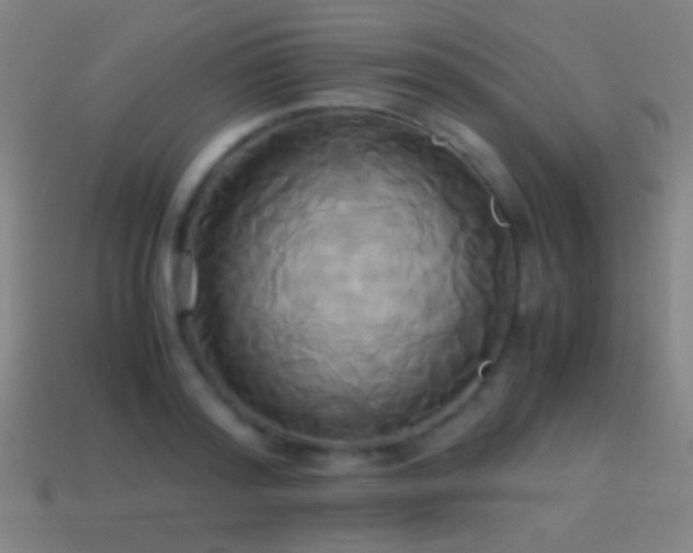 X0000114700796200910211251