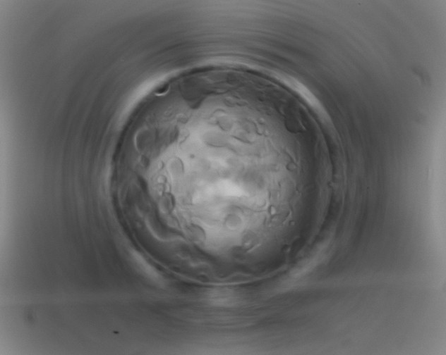 X0000114700799200910211251