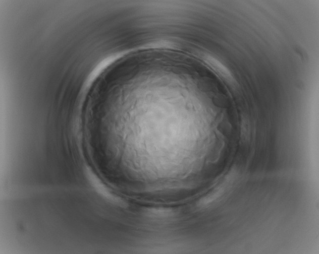 X0000114700800200910211251