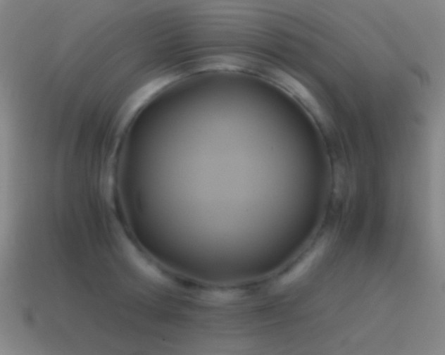 X0000114700802200910211251