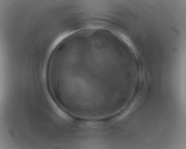 X0000114700803200910211251