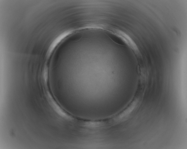 X0000114700804200910211251