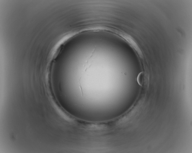 X0000114700805200910211251