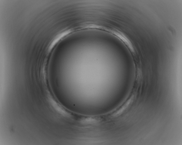 X0000114700806200910211251