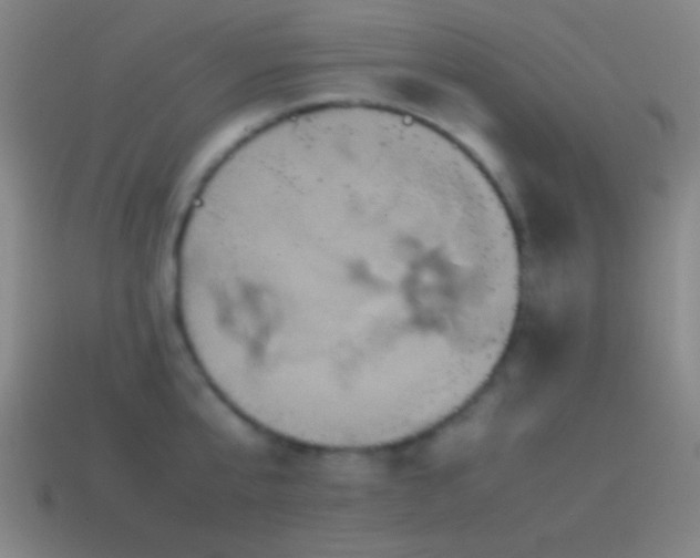 X0000114700807200910211251