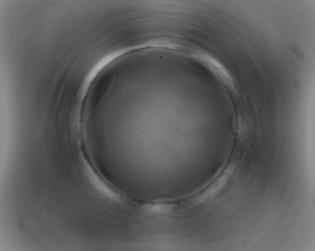 X0000114700808200910211251