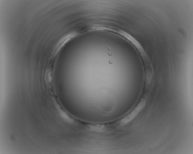 X0000114700809200910211251