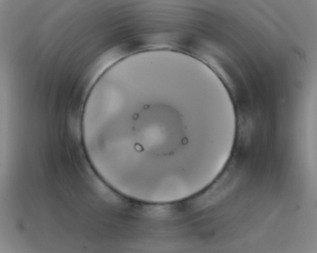 X0000114700810200910211251