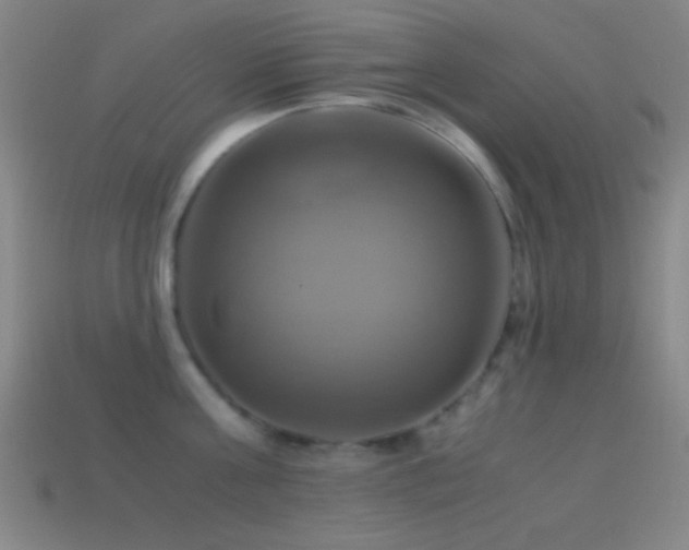 X0000114700811200910211251