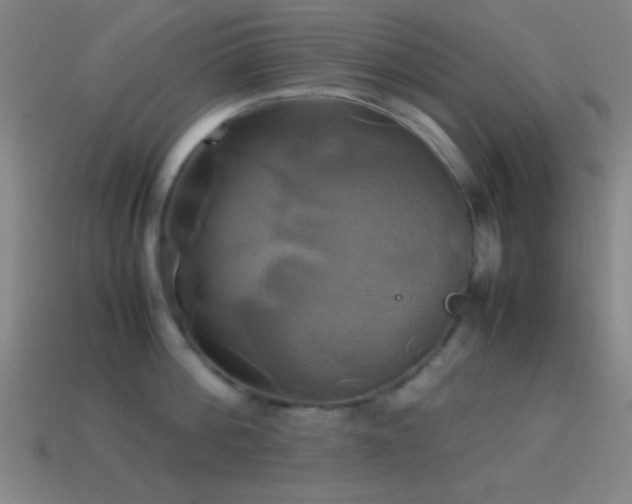 X0000114700812200910211250