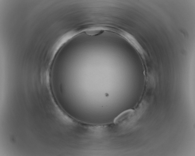 X0000114700813200910211250